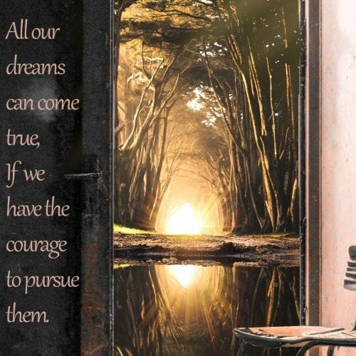 לרדוף אחרי חלומות