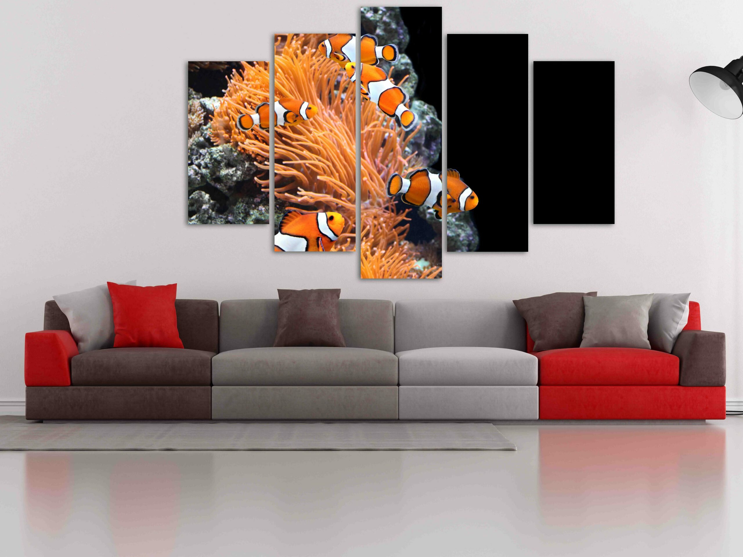 נמו בשונית 5 נמו בשונית