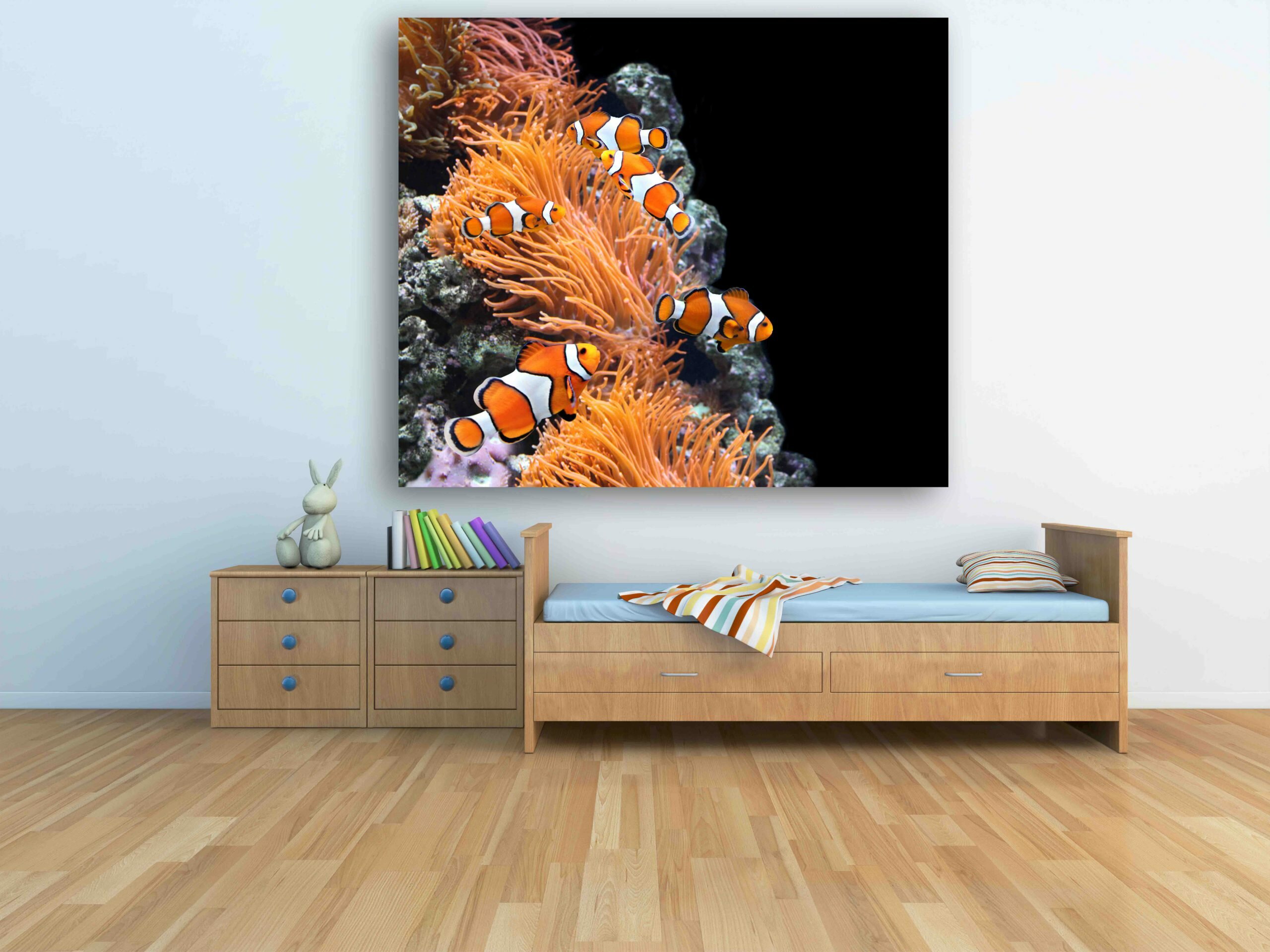 נמו בשונית 3 נמו בשונית