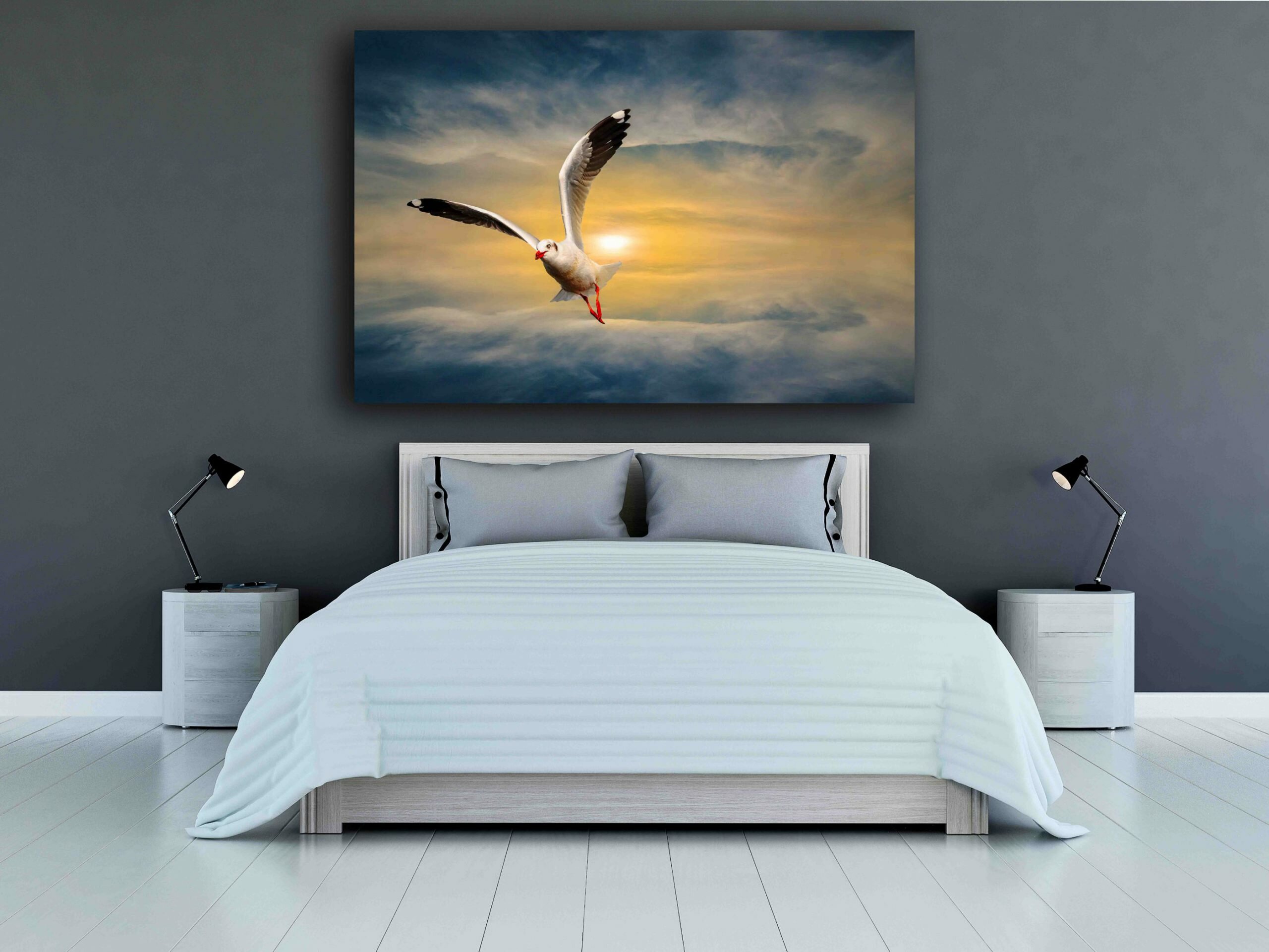 שחף בזריחה 3 שחף בזריחה