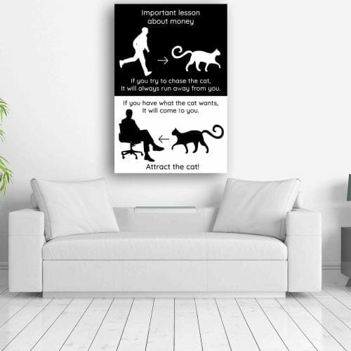 החתול והכסף