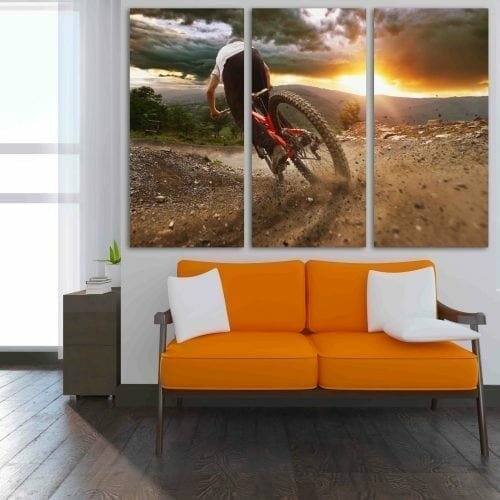 הרוכב הדינמי