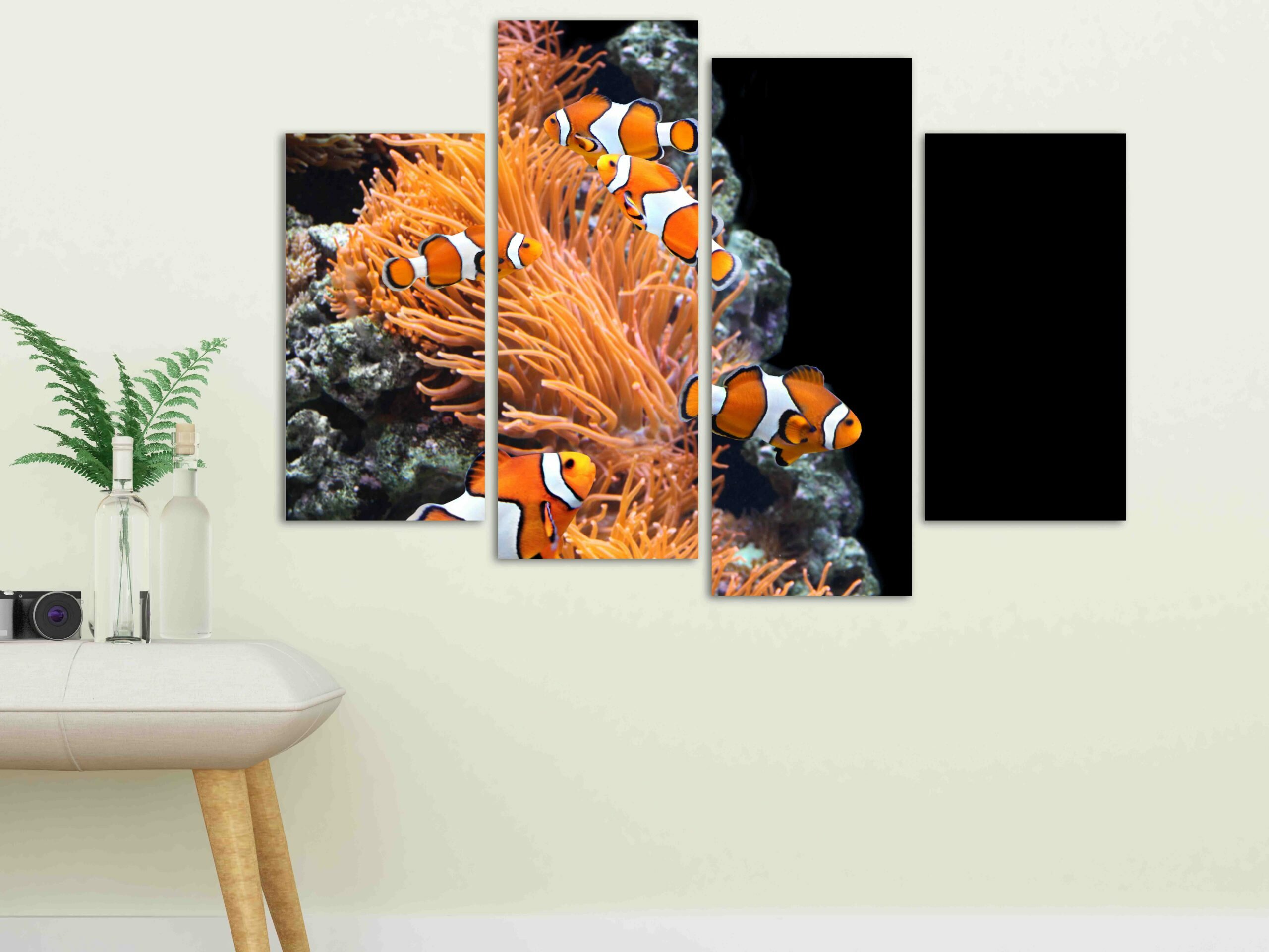 נמו בשונית 6 נמו בשונית