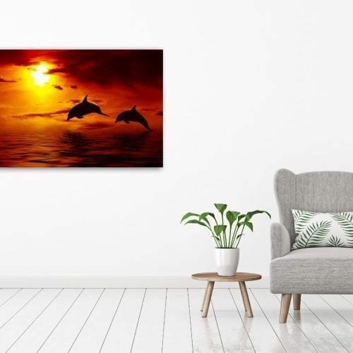 צמד דולפינים