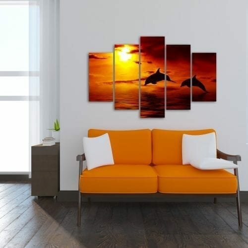 צמד דולפינים