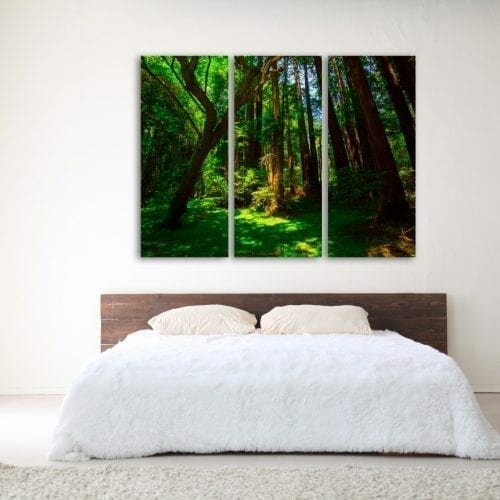 צילו של יום קיץ