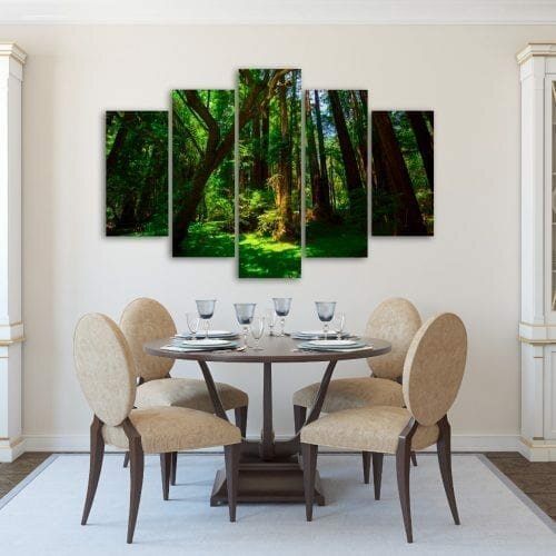 צילו של יום קיץ