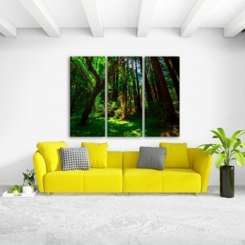 צילו של יום קיץ