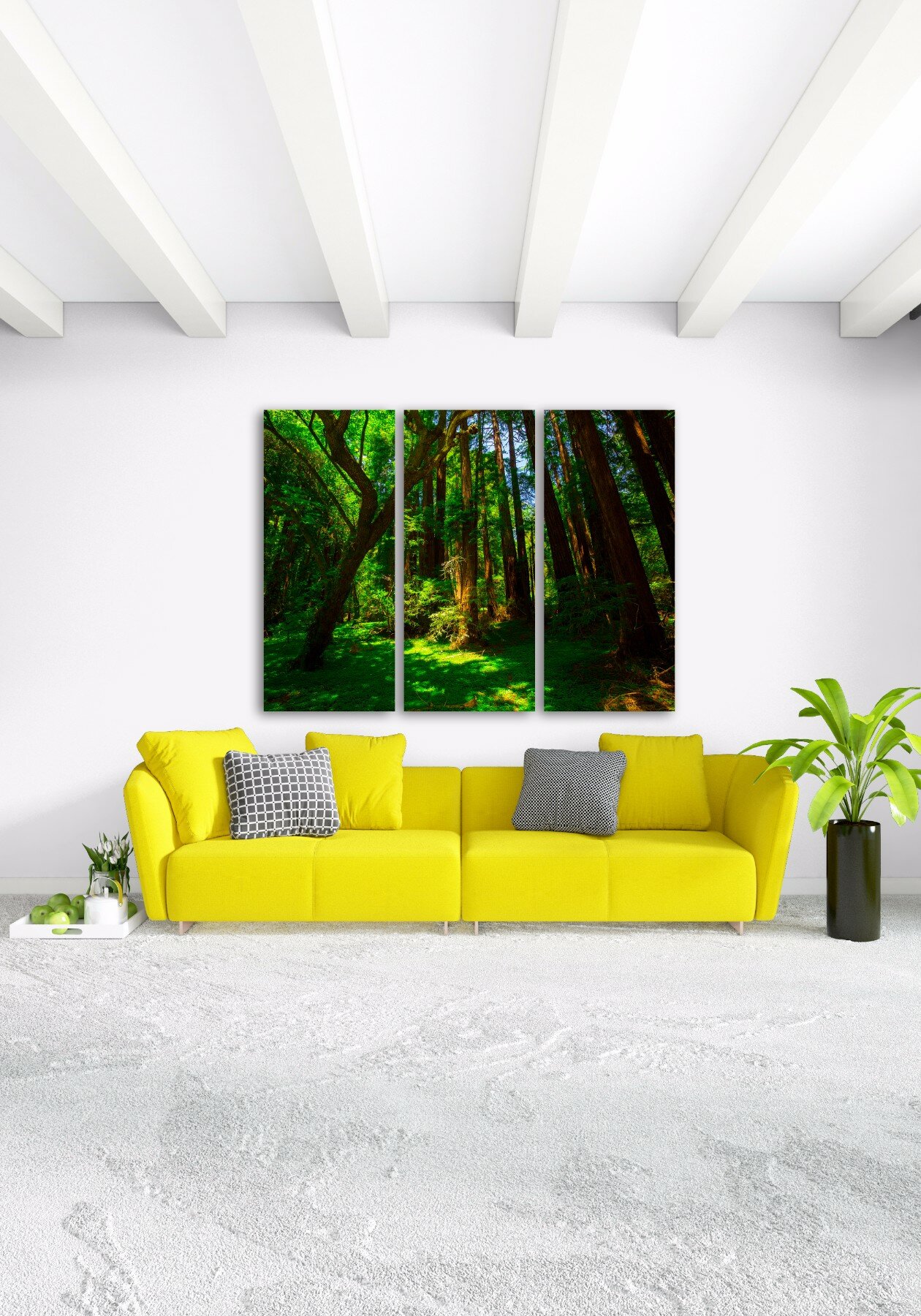 צילו של יום קיץ 2 צילו של יום קיץ