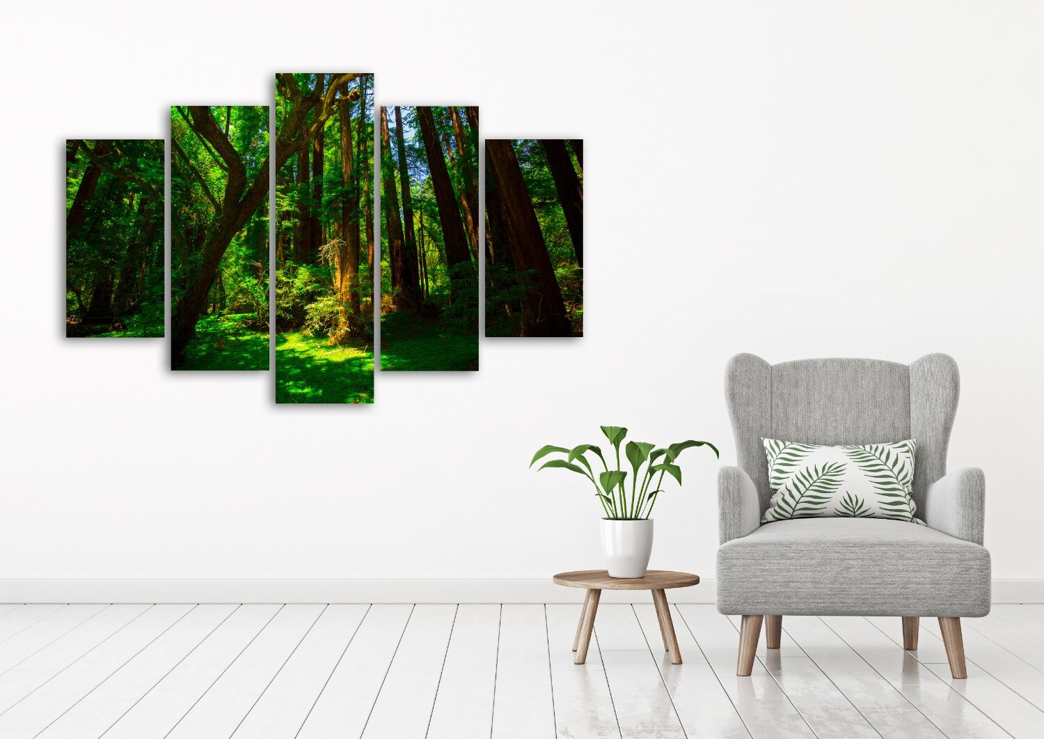 צילו של יום קיץ 5 צילו של יום קיץ