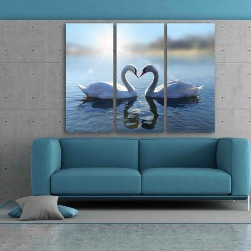 ברבורים באגם