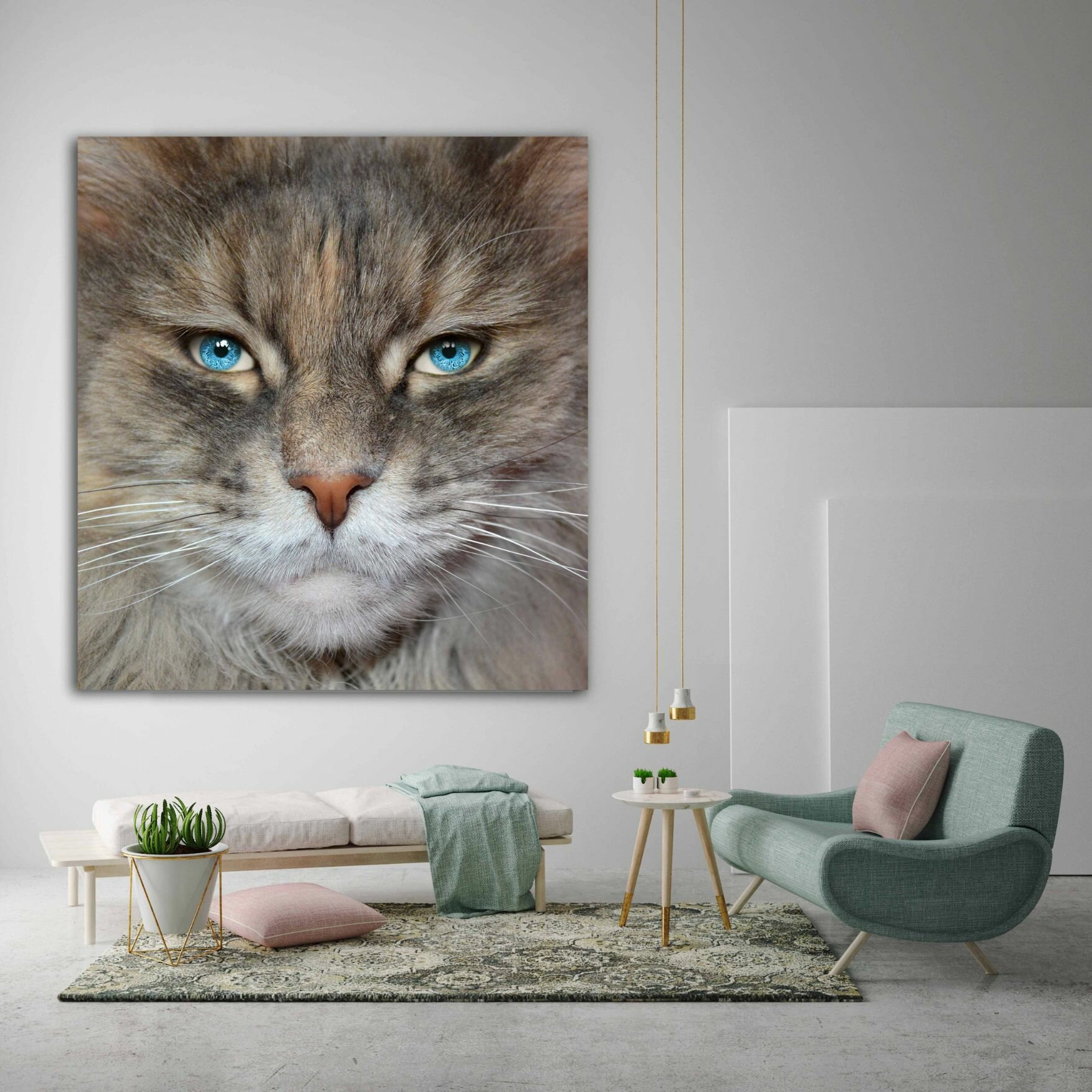 עיני חתול 2 עיני חתול