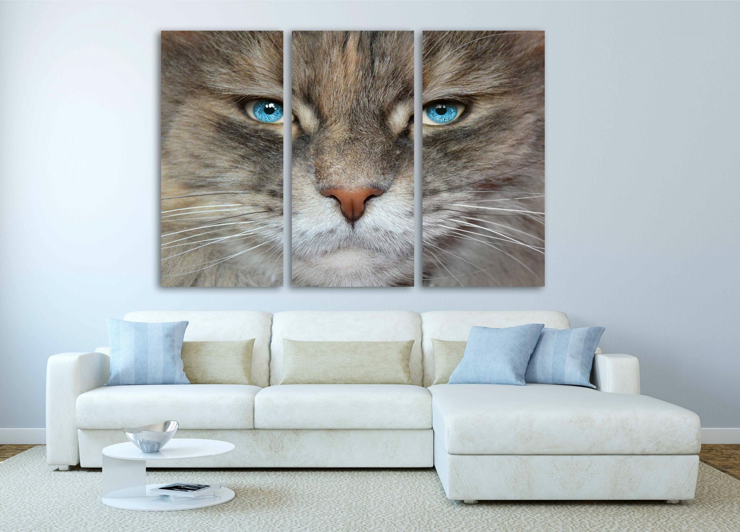 עיני חתול 1 עיני חתול