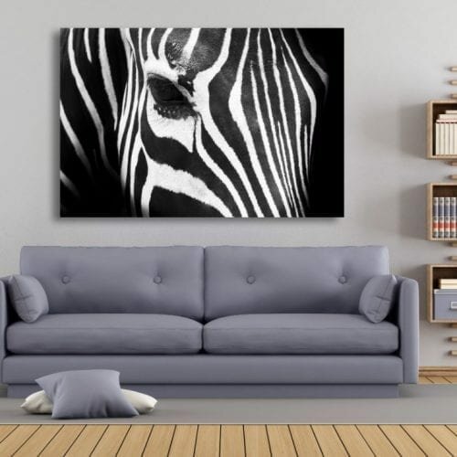 דברים שרואים מכאן