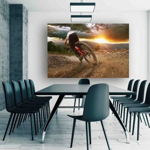 הרוכב הדינמי