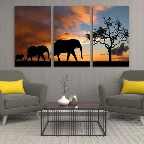 צללים של פילים