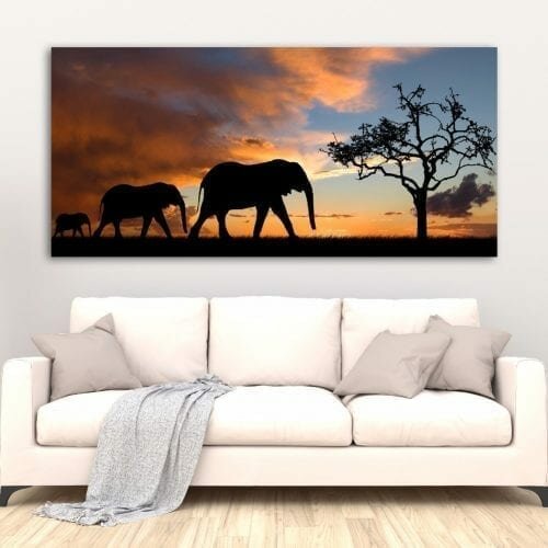 צללים של פילים