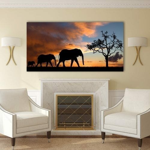 צללים של פילים