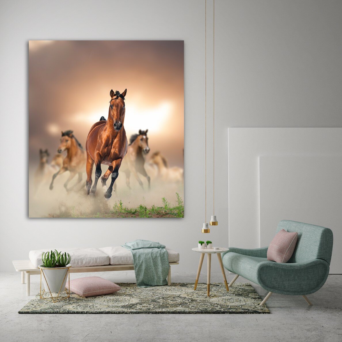 דהירה 2 דהירה