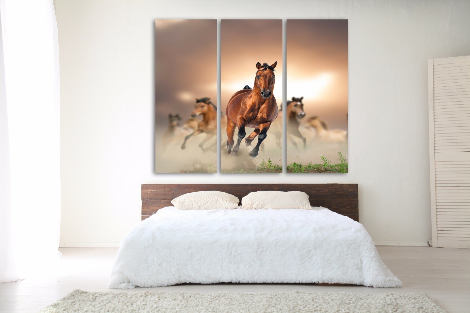 דהירה 3 דהירה