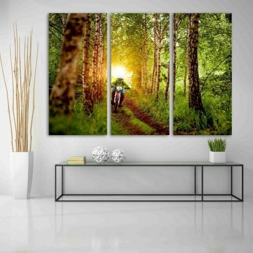 רוכב ביער – אקסטרים בטבע