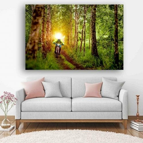 רוכב ביער – אקסטרים בטבע