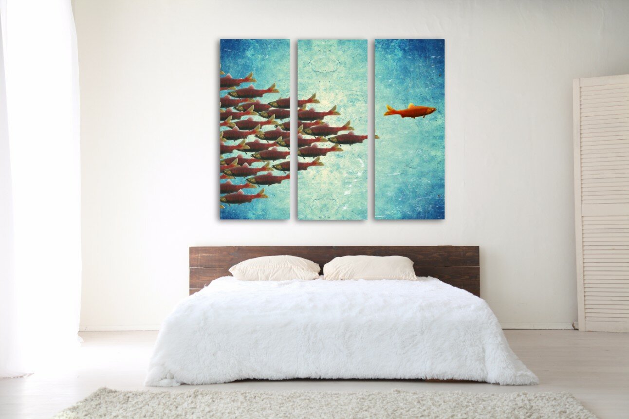 נגד הזרם 5 נגד הזרם