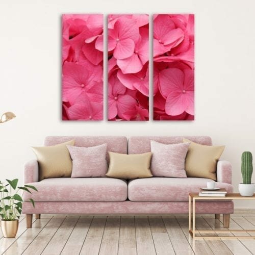 פרחים ורודים