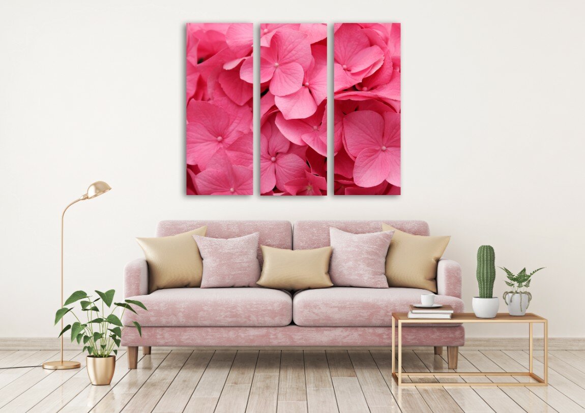 פרחים ורודים 2 פרחים ורודים