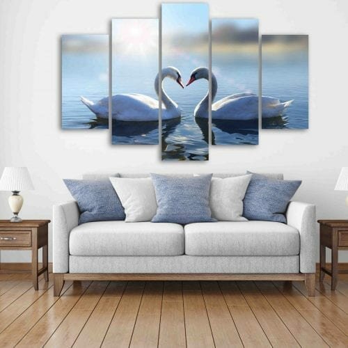 ברבורים באגם