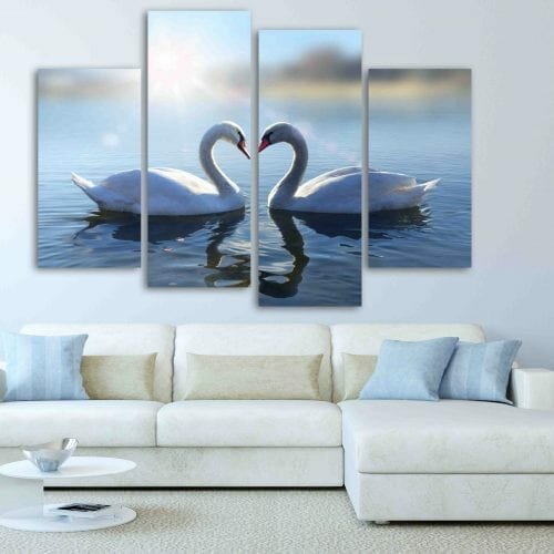 ברבורים באגם