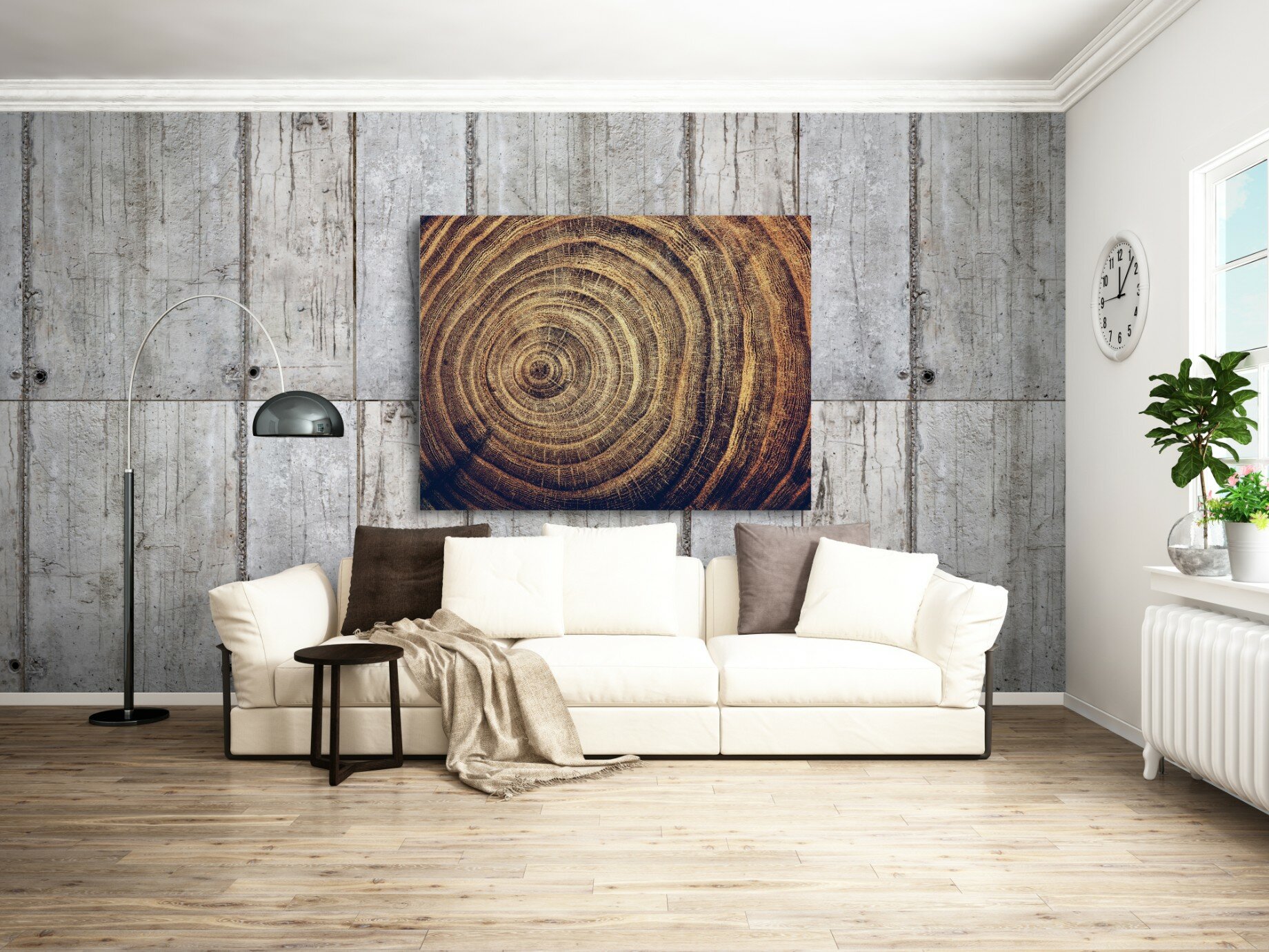 רק הגזע 2 רק הגזע