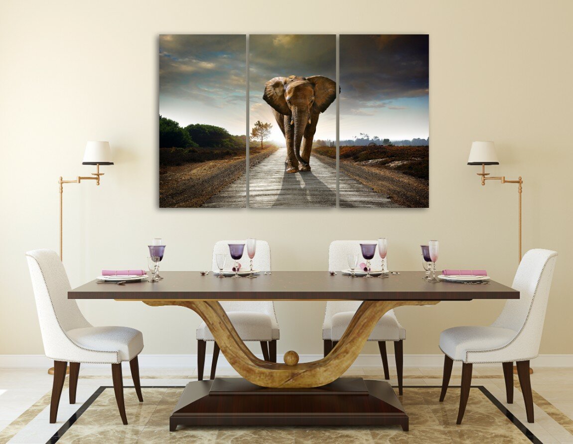 צעדת הפיל 5 צעדת הפיל