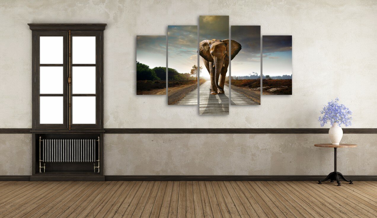 צעדת הפיל 4 צעדת הפיל