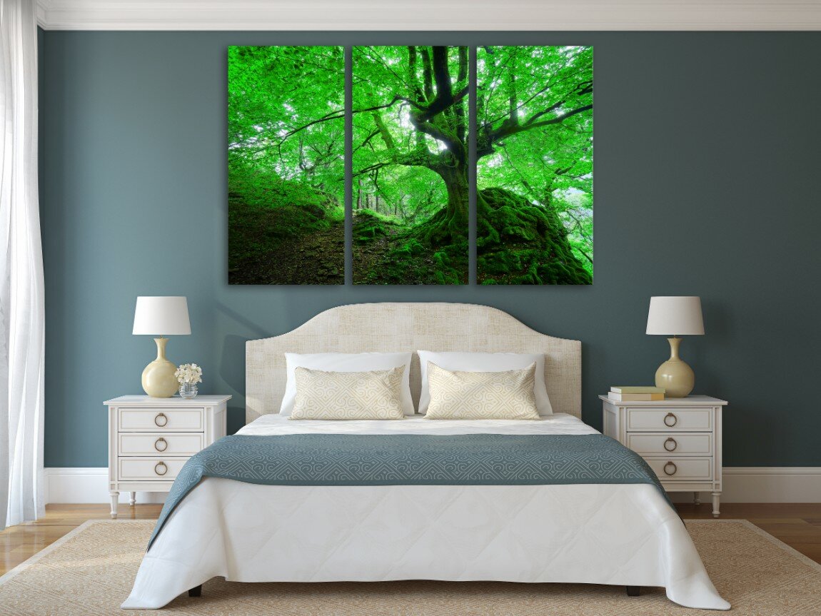 ירוק פראי 4 ירוק פראי