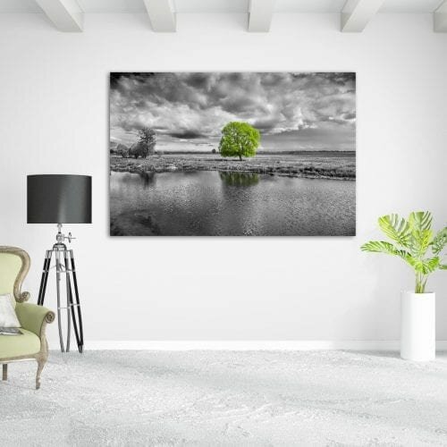 ירוק בעיניים