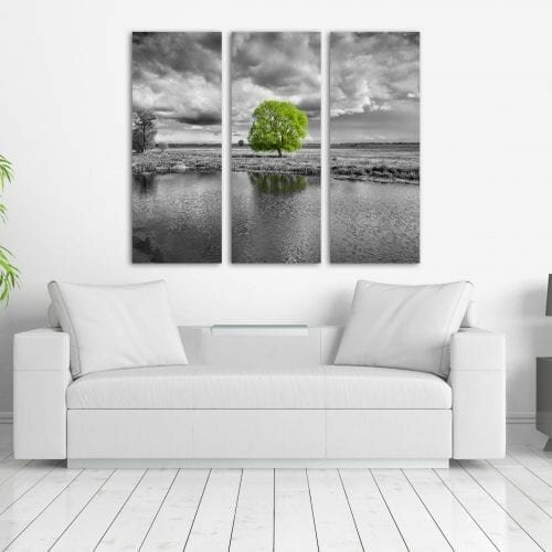 ירוק בעיניים