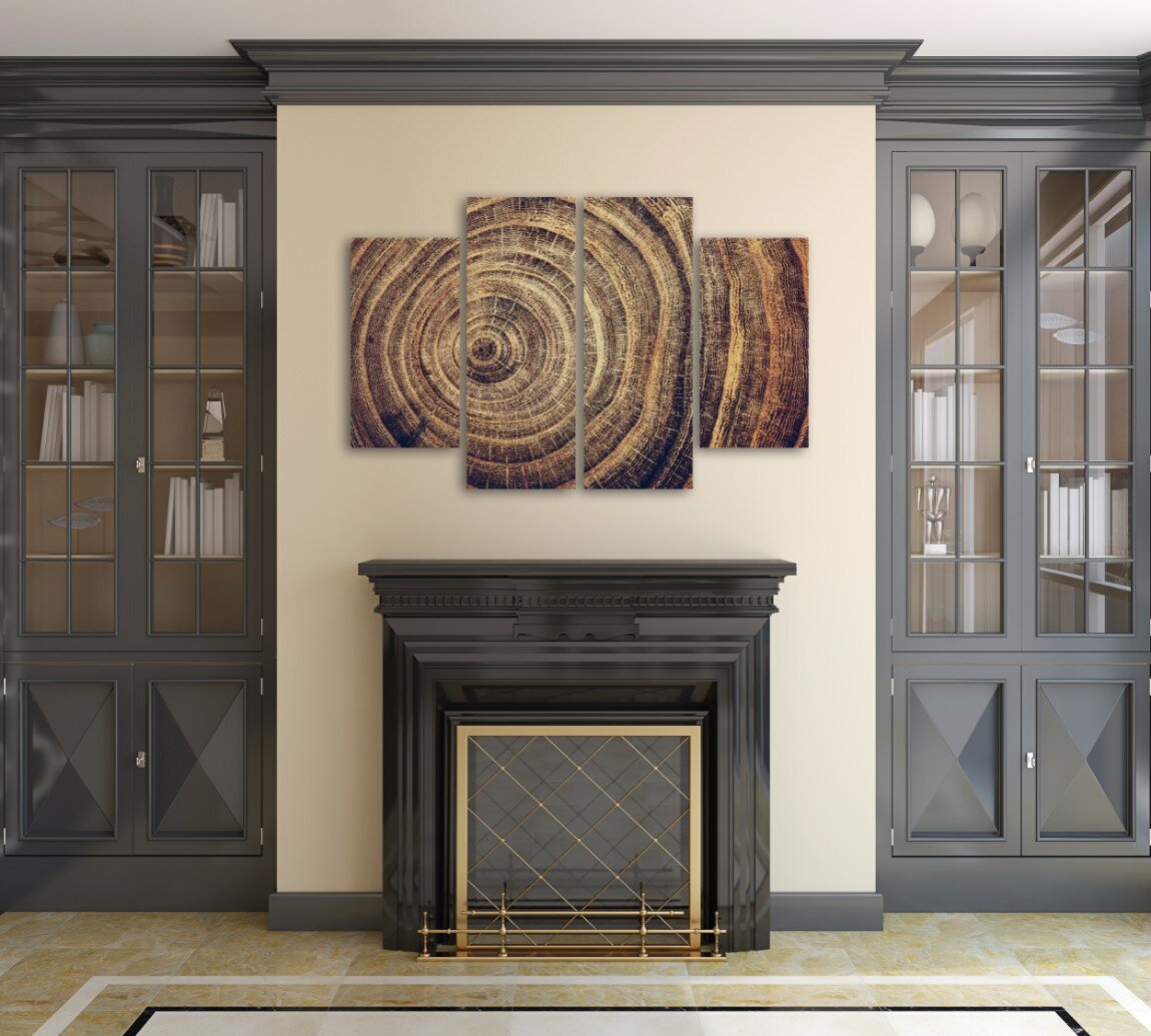 רק הגזע 3 רק הגזע