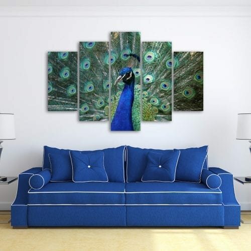 דואט ירוק-כחול