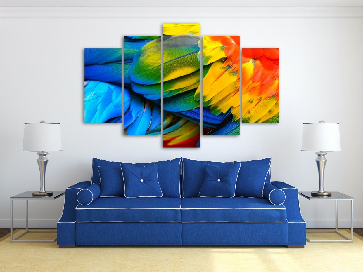 צבע לחיים 5 צבע לחיים