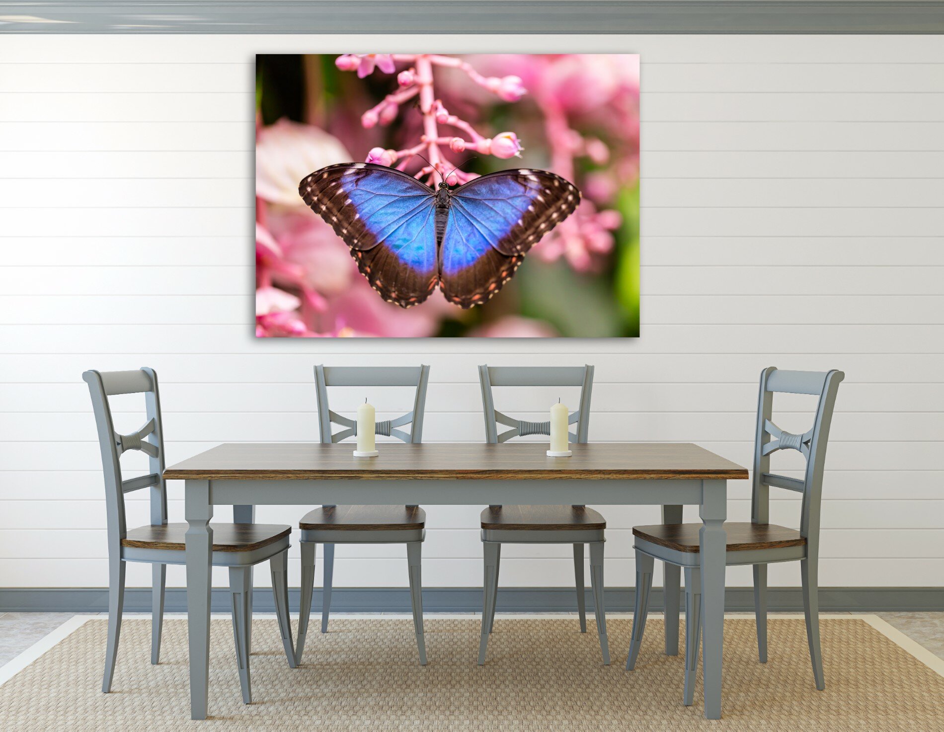 מורפו כחול 3 מורפו כחול