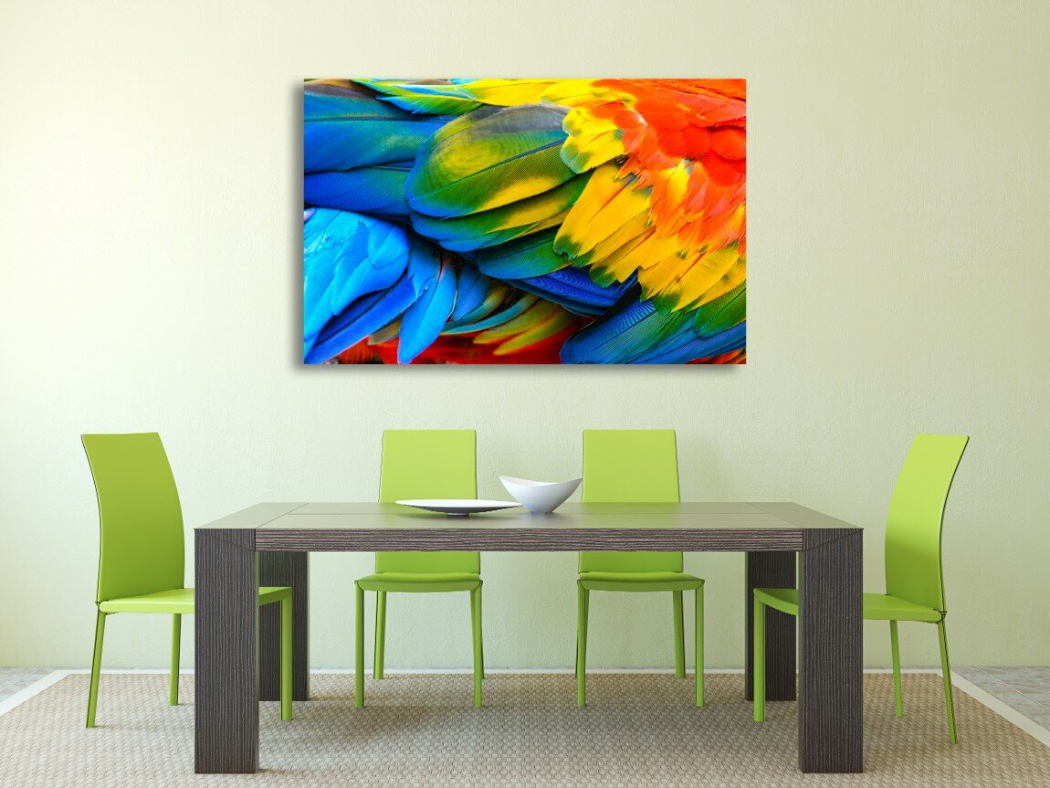 צבע לחיים 2 צבע לחיים