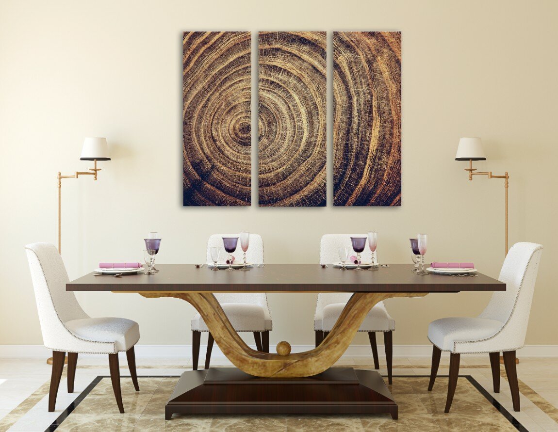 רק הגזע 4 רק הגזע