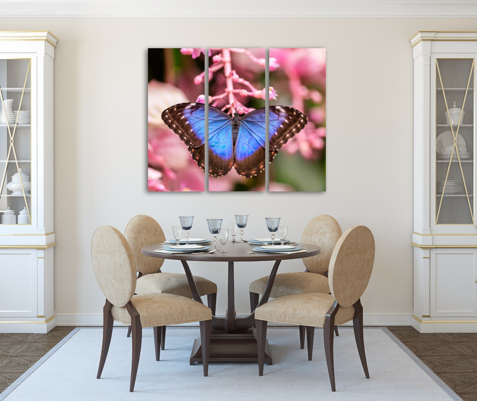 מורפו כחול 5 מורפו כחול