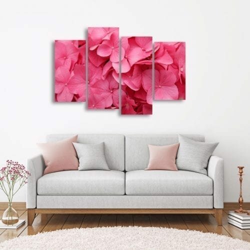 פרחים ורודים