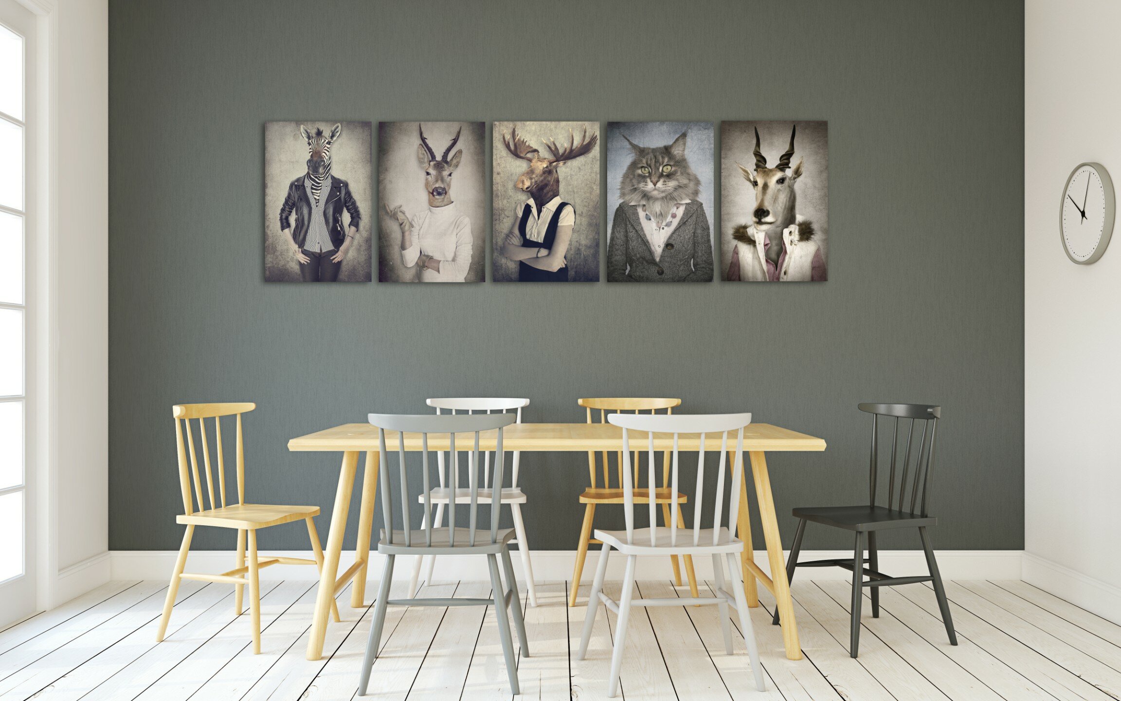 תמונות בעלי חיים - חיות מדברות 3 תמונות בעלי חיים - חיות מדברות