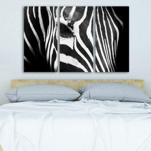 דברים שרואים מכאן