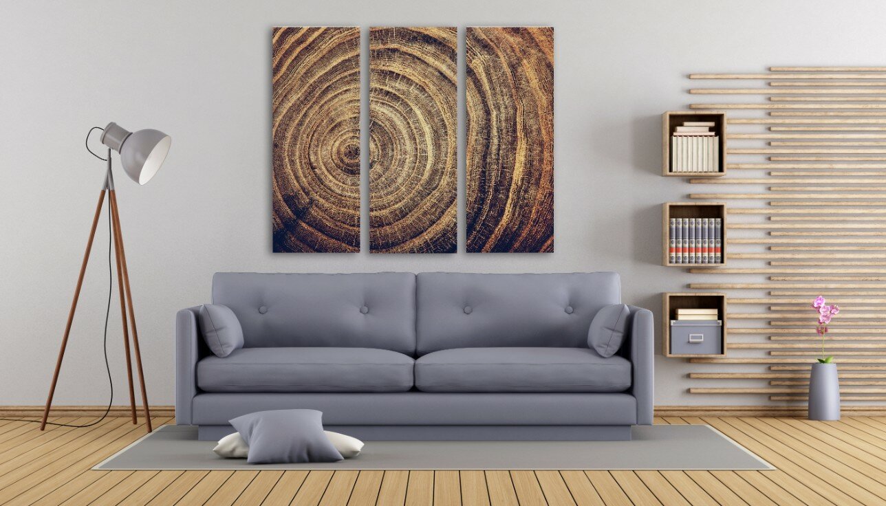 רק הגזע 5 רק הגזע