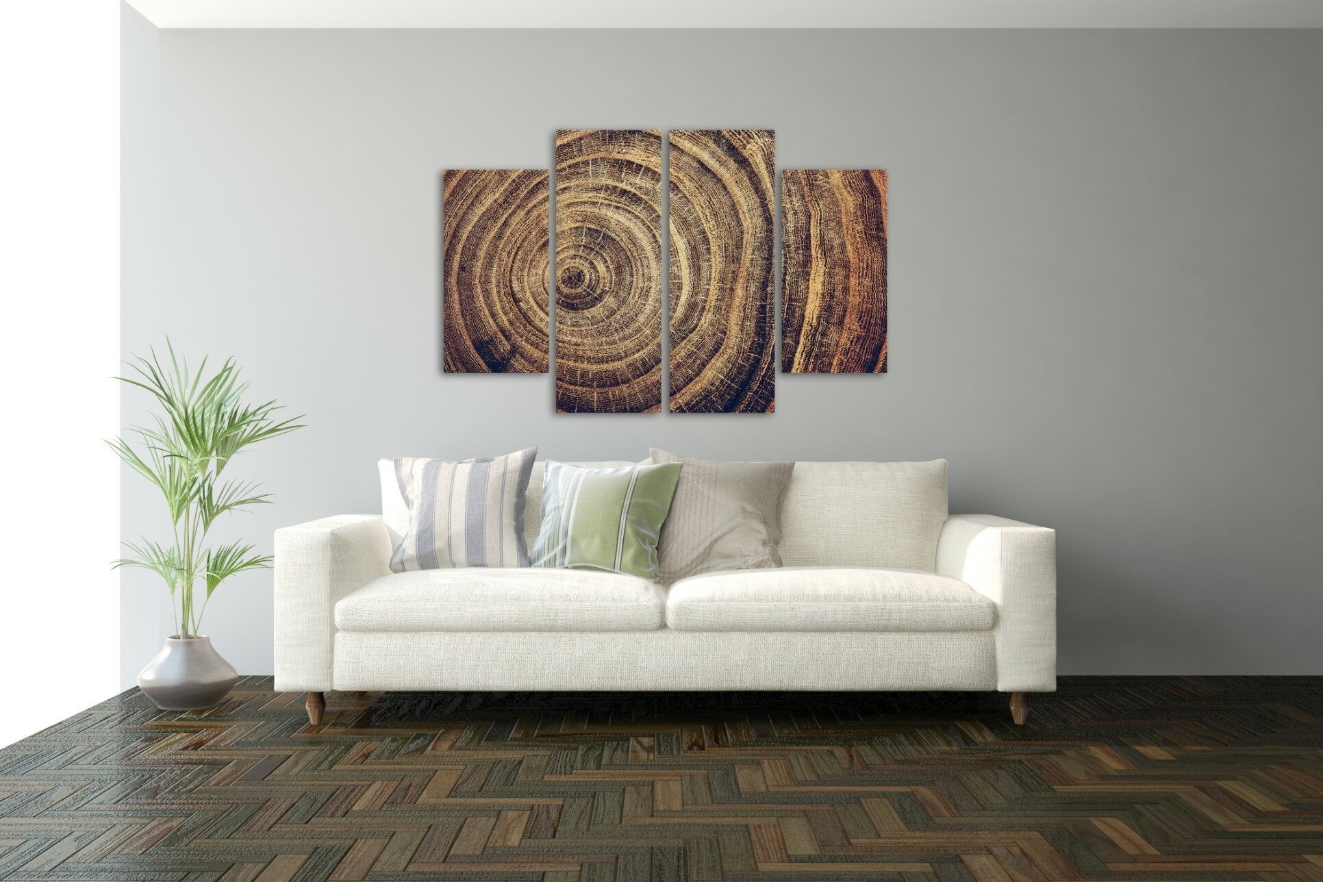 רק הגזע 1 רק הגזע