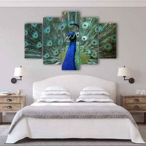 דואט ירוק-כחול